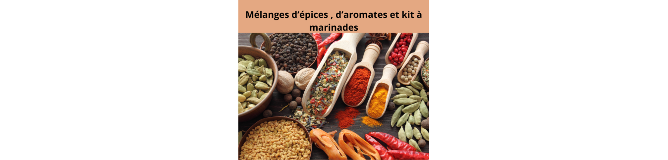 Mélanges épices et marinades sèches